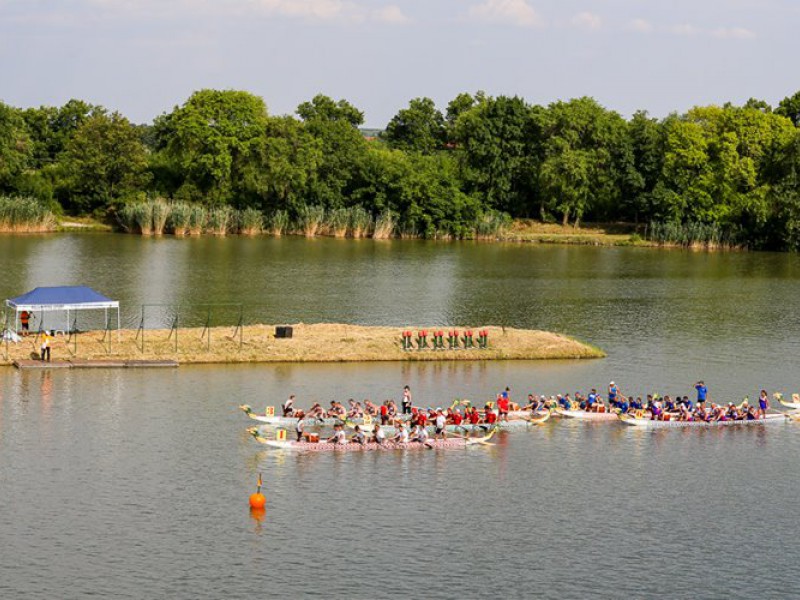 The last day of nation's Dragon Boat European Championships in Szeged brings triumph of Russia, Ukraine and Hungary